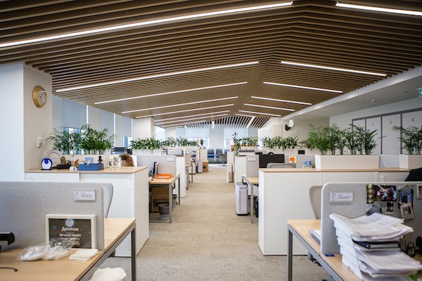 Весь офис наполнен зелёными растениями, а отделочные материалы из дерева придают рабочей атмосфере уют